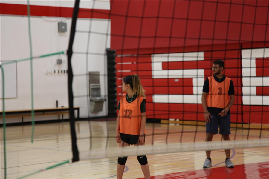 Co-Ed Volleyball